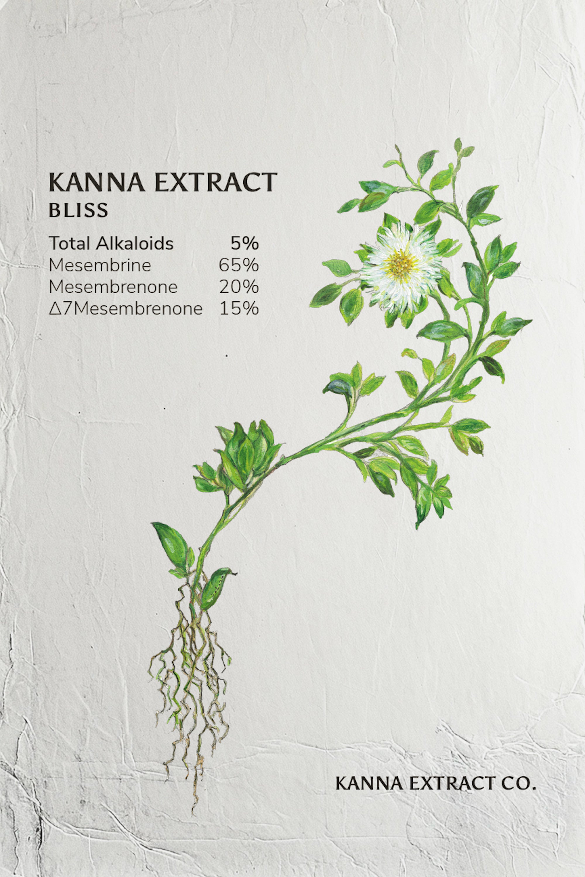 Image of the front package label for the kanna extract company BLISS kanna extract made from organic sceletium tortuosum. The label reads total alkaloids 5%, mesembrine 80%, Mesembrenone 15%, delta7mesembrenone 5%. This kanna extract is for sale for whole, bulk and retail distribution.