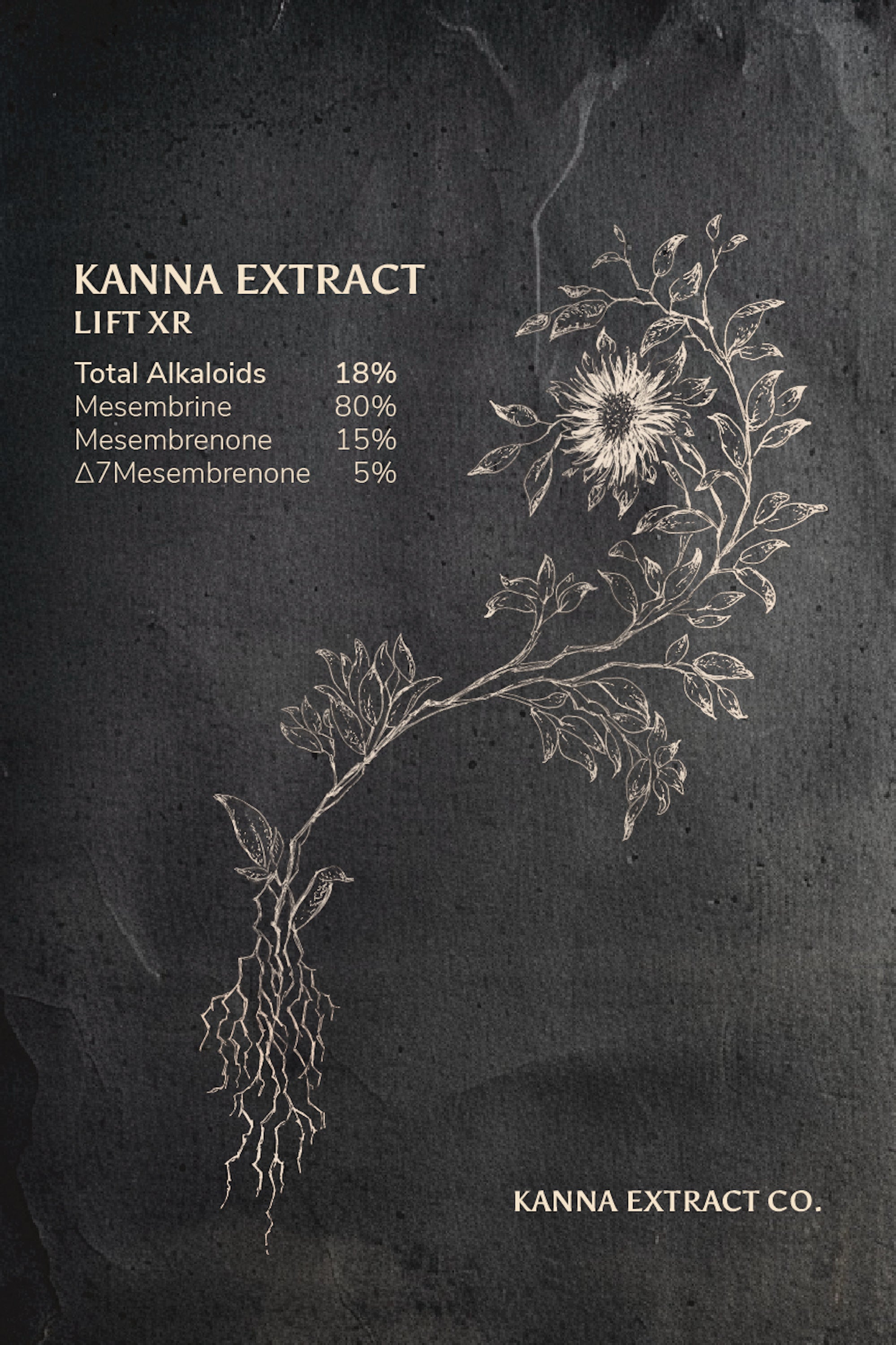 中古 lambent - smoothness extract sangshenb.gif