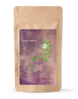 DREAM Kanna Dailies pouch, front, 20 vegan capsules