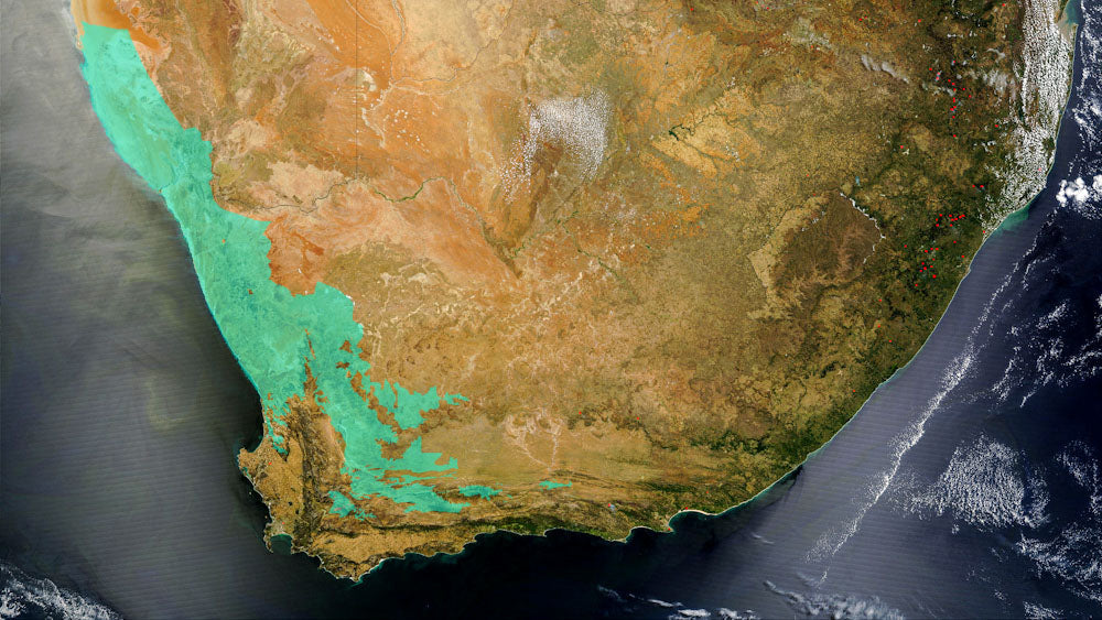 aerial photo highlighting the area of south africa where kanna can be found in the wild
