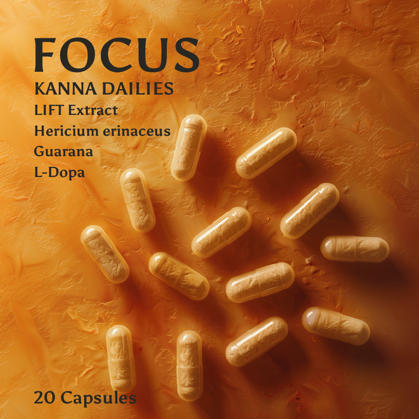 FOCUS Kanna Dailies vegan capsules – 20-count natural kanna supplement for calm focus and all day mental performance.