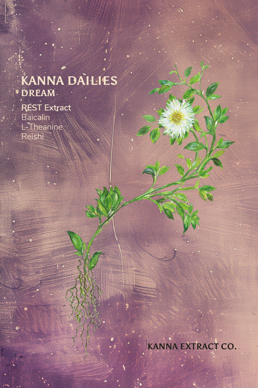 DREAM Kanna Dailies front label: REST kanna extract with baicalin, L-theanine and reishi