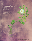 DREAM Kanna Dailies front label: REST kanna extract with baicalin, L-theanine and reishi
