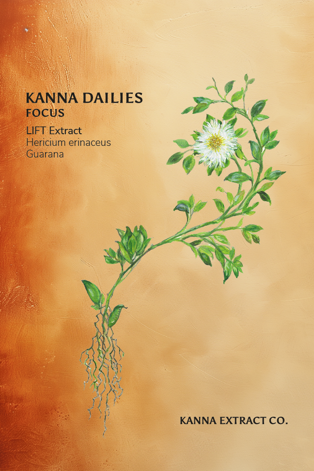 FOCUS Kanna Dailies supplement facts: 25mg LIFT kanna extract and a 625mg blend