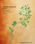 FOCUS Kanna Dailies supplement facts: 25mg LIFT kanna extract and a 625mg blend