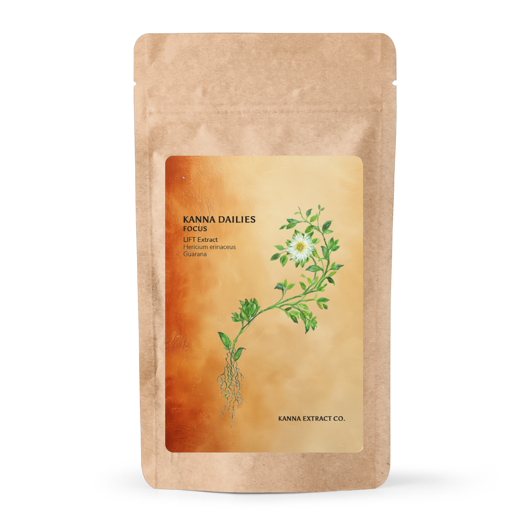 FOCUS Kanna Dailies kraft pouch, front, 20 vegan capsules