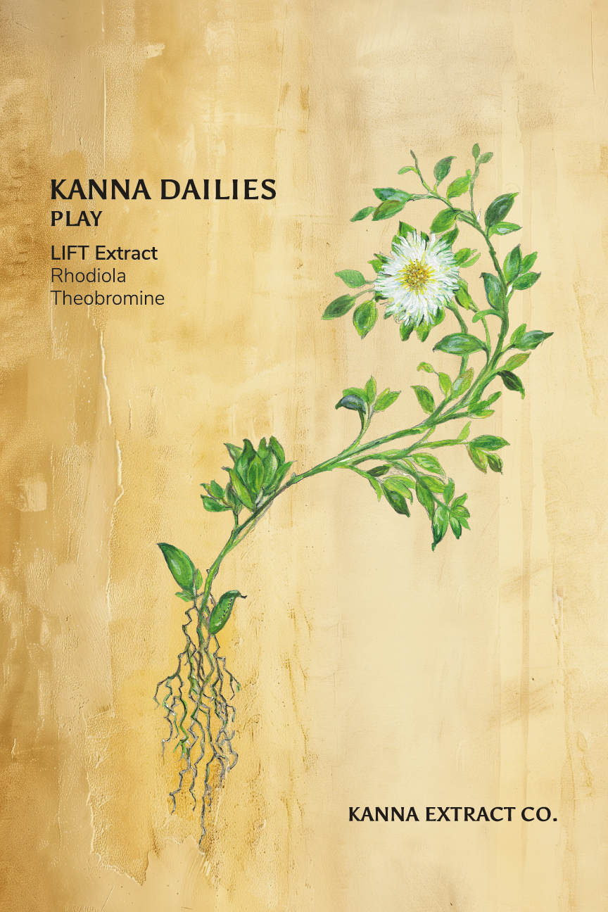 PLAY Kanna Dailies front label: LIFT kanna extract with rhodiola and theobromine
