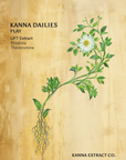 PLAY Kanna Dailies front label: LIFT kanna extract with rhodiola and theobromine
