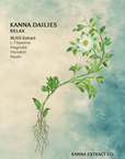 RELAX Kanna Dailies front label: BLISS kanna extract with L-theanine, magnolol and honokiol